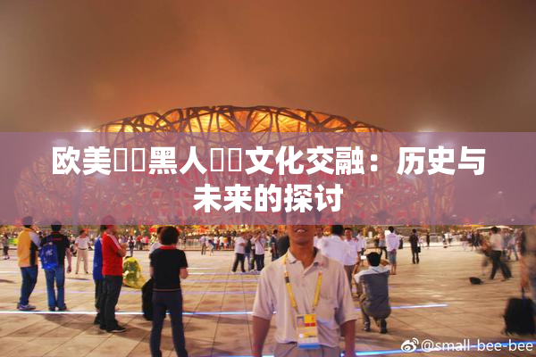 欧美❌‌黑人❌‌文化交融：历史与未来的探讨