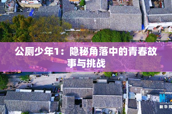 公厕少年1：隐秘角落中的青春故事与挑战