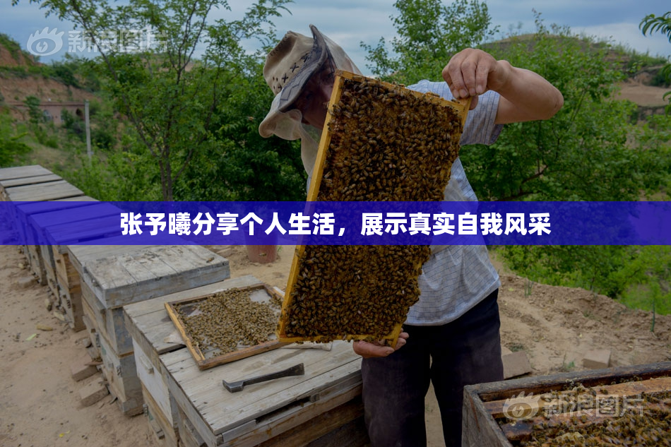张予曦分享个人生活，展示真实自我风采