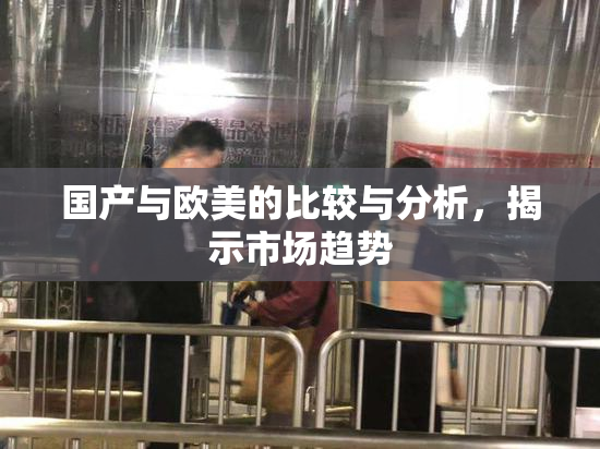 国产与欧美的比较与分析，揭示市场趋势