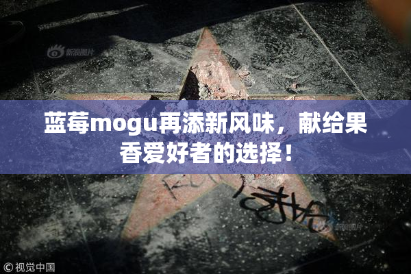 蓝莓mogu再添新风味，献给果香爱好者的选择！