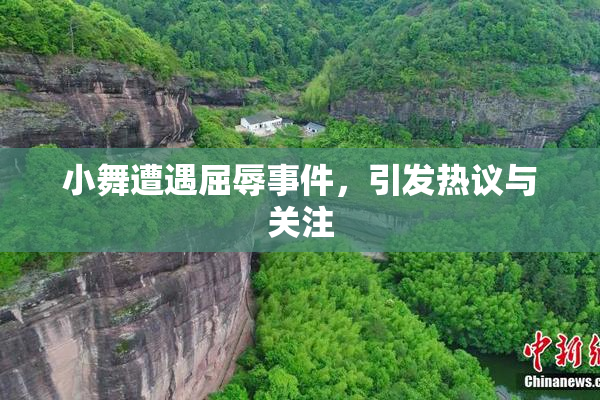 小舞遭遇屈辱事件，引发热议与关注
