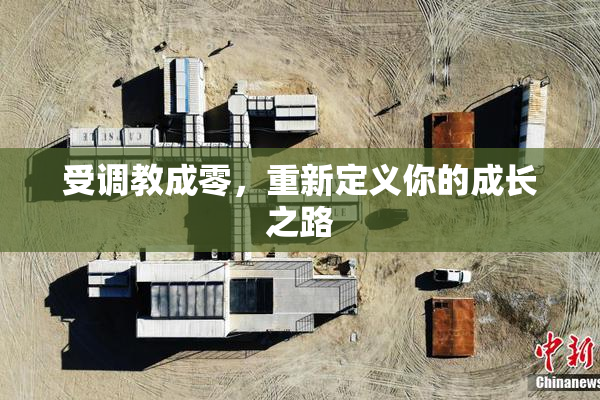 受调教成零，重新定义你的成长之路