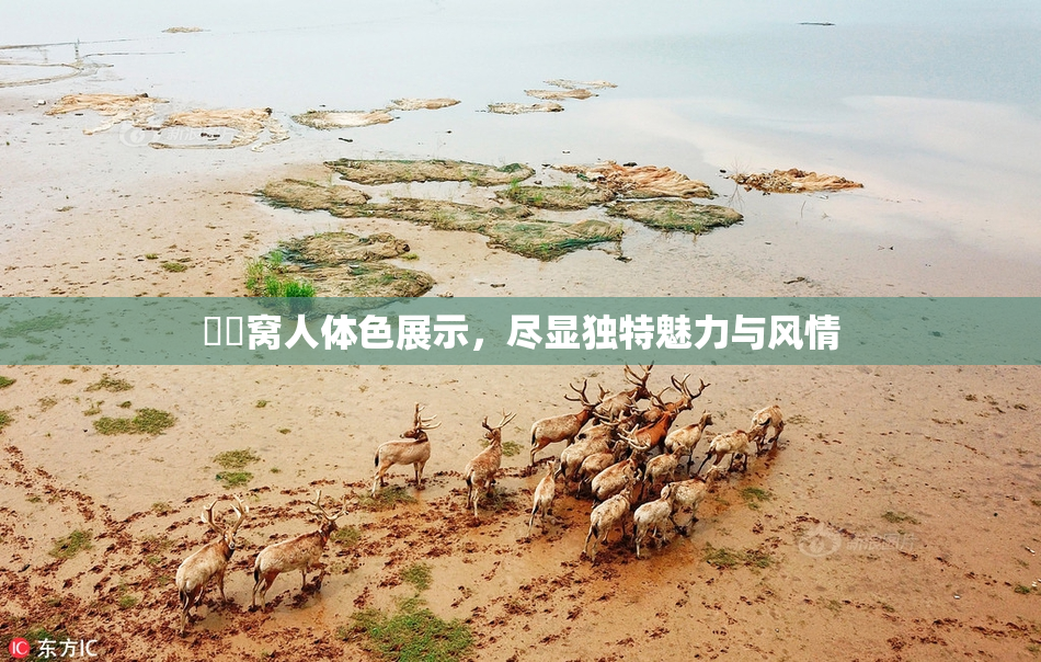 妺妺窝人体色展示，尽显独特魅力与风情