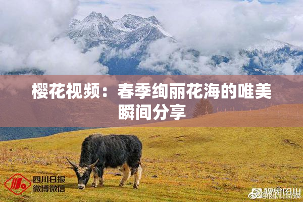 樱花视频：春季绚丽花海的唯美瞬间分享