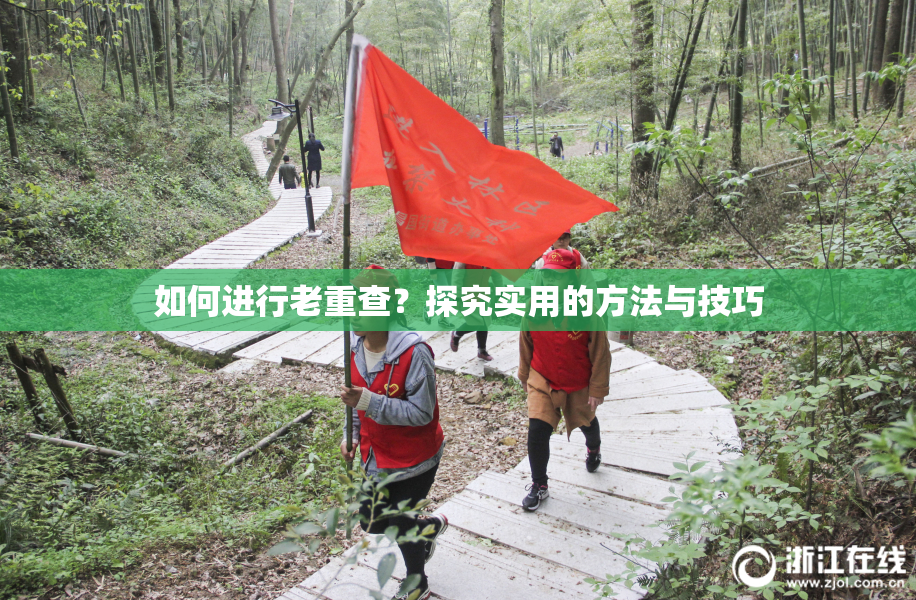 如何进行老重查？探究实用的方法与技巧