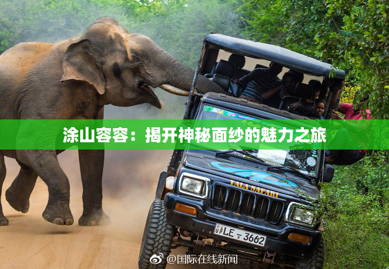 涂山容容：揭开神秘面纱的魅力之旅