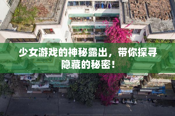 少女游戏的神秘露出，带你探寻隐藏的秘密！