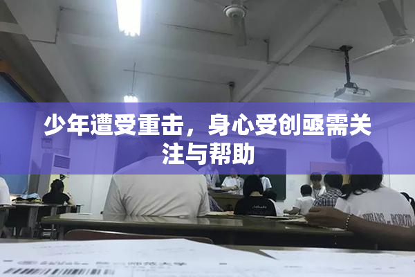 少年遭受重击，身心受创亟需关注与帮助