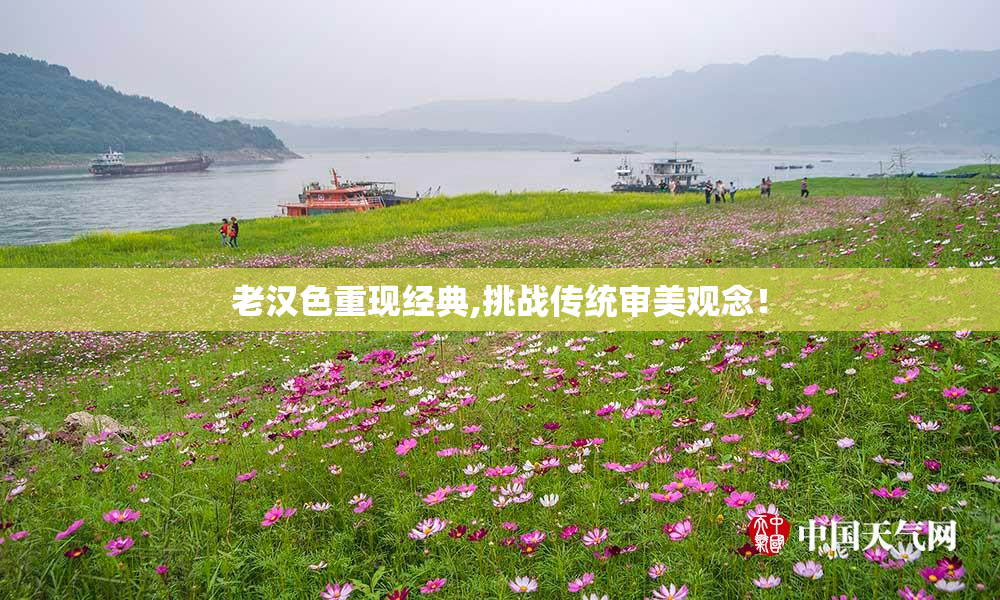 老汉色重现经典,挑战传统审美观念！