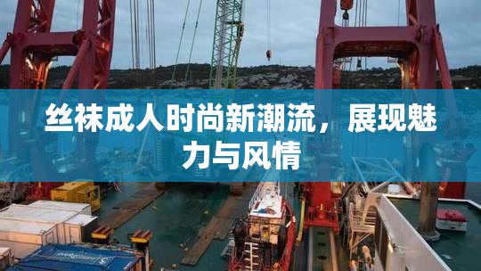 丝袜成人时尚新潮流，展现魅力与风情