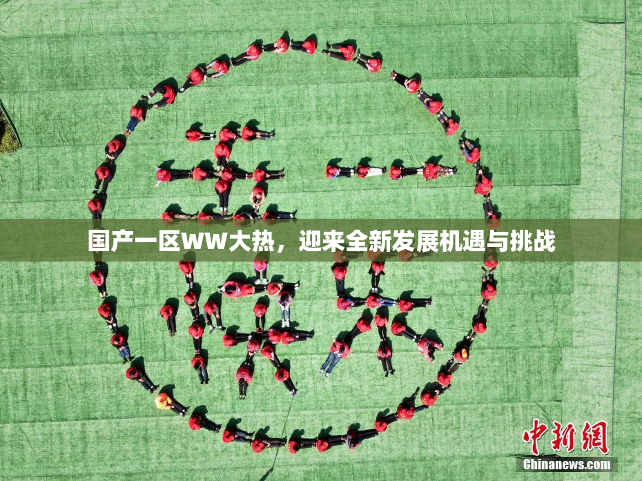 国产一区WW大热，迎来全新发展机遇与挑战