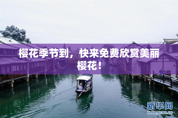 樱花季节到，快来免费欣赏美丽樱花！