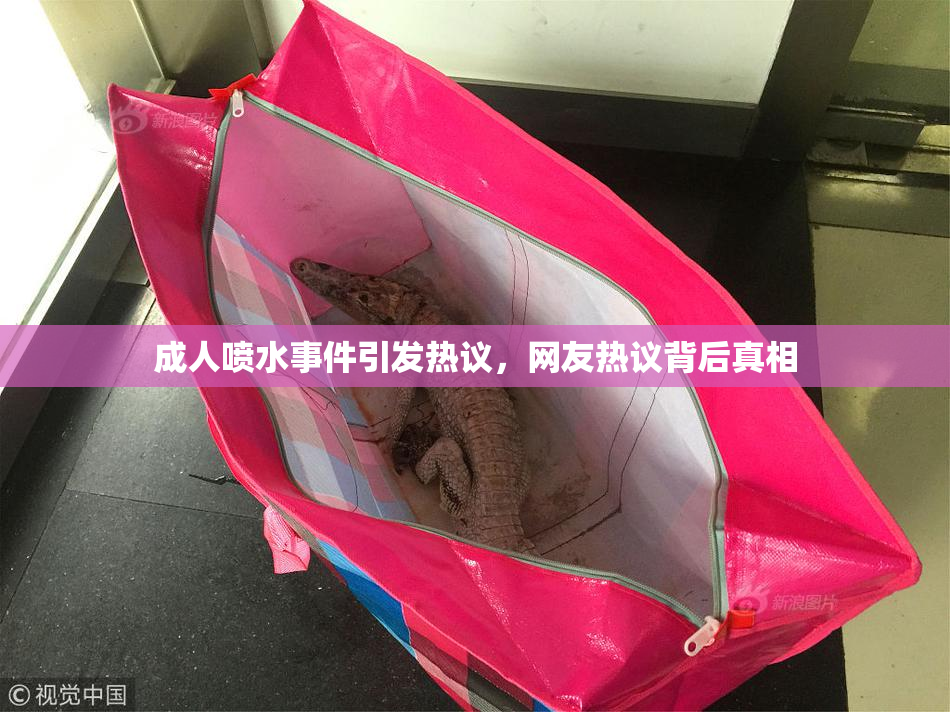 成人喷水事件引发热议，网友热议背后真相