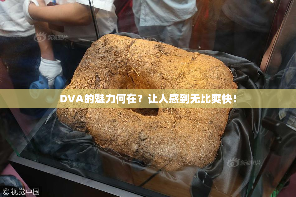 DVA的魅力何在？让人感到无比爽快！