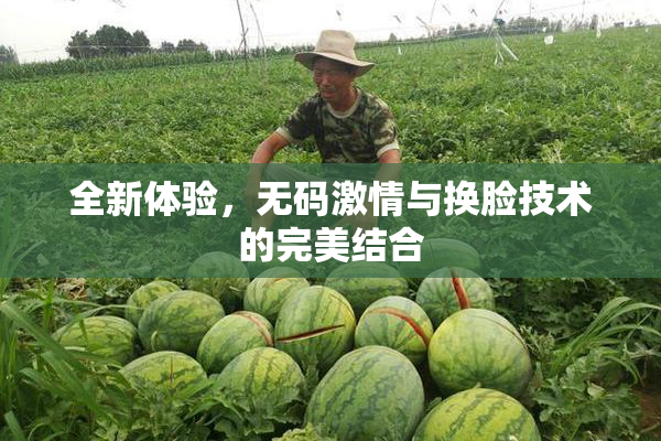 全新体验，无码激情与换脸技术的完美结合