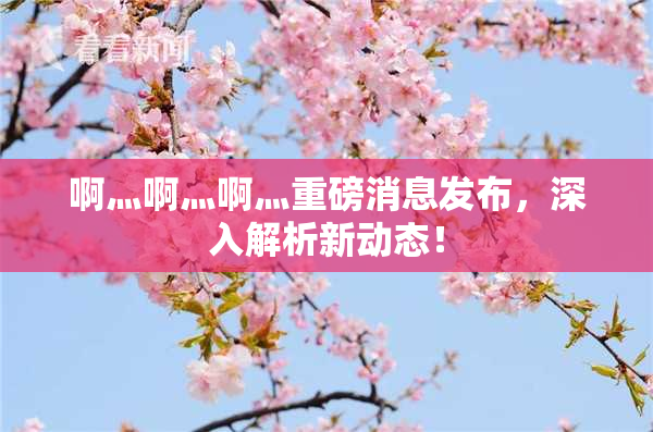 啊灬啊灬啊灬重磅消息发布，深入解析新动态！