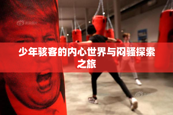 少年骇客的内心世界与闷骚探索之旅