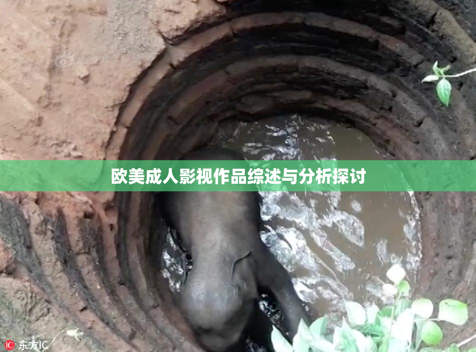欧美成人影视作品综述与分析探讨