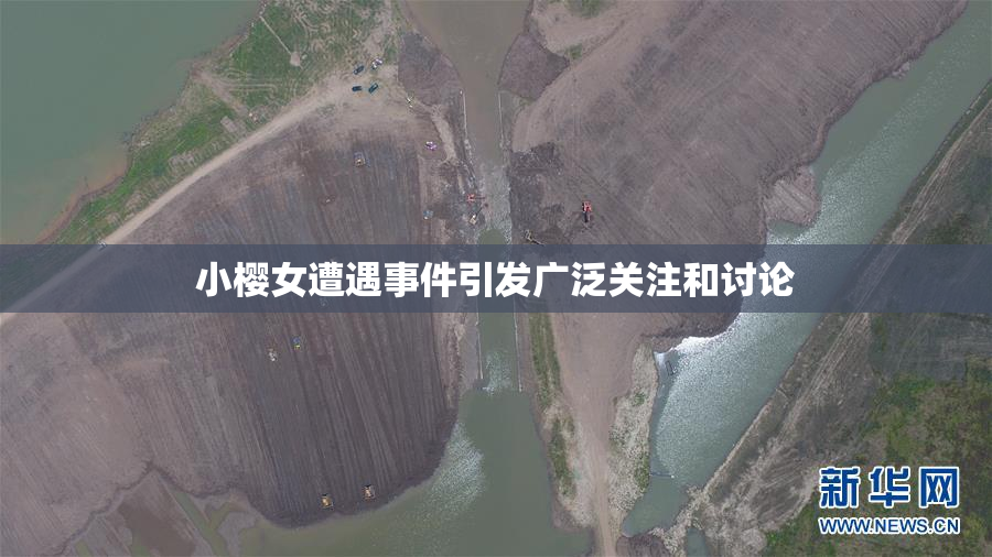 小樱女遭遇事件引发广泛关注和讨论