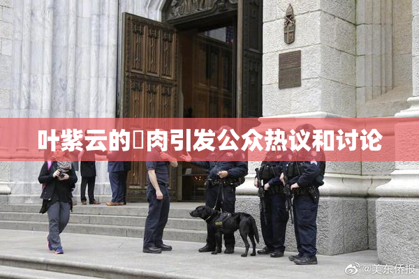 叶紫云的婬肉引发公众热议和讨论
