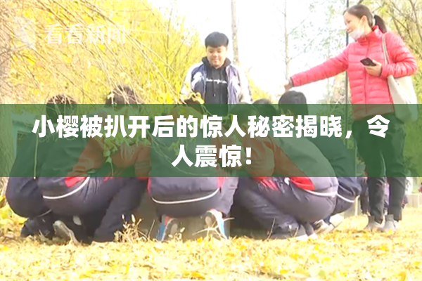 小樱被扒开后的惊人秘密揭晓，令人震惊！