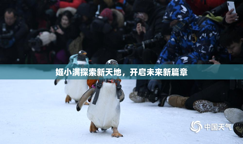姬小满探索新天地，开启未来新篇章