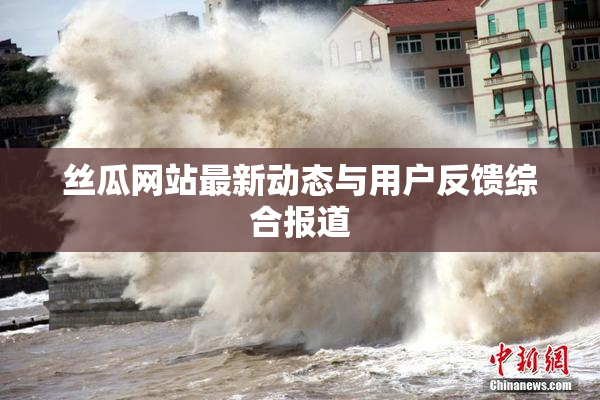 丝瓜网站最新动态与用户反馈综合报道