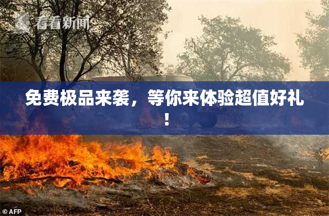 免费极品来袭，等你来体验超值好礼！