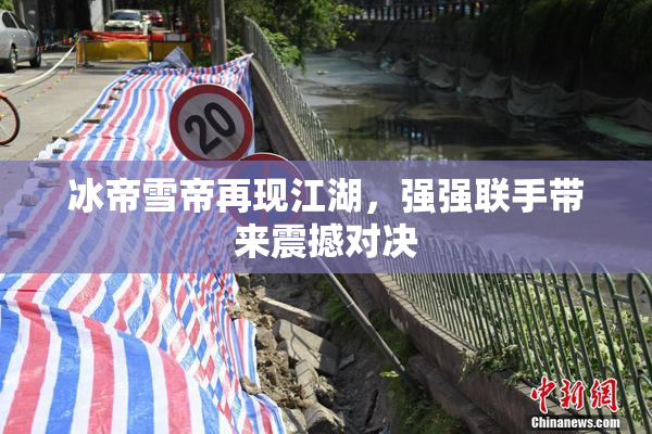 冰帝雪帝再现江湖，强强联手带来震撼对决
