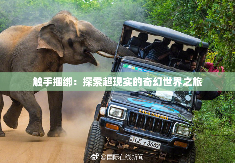 触手捆绑：探索超现实的奇幻世界之旅