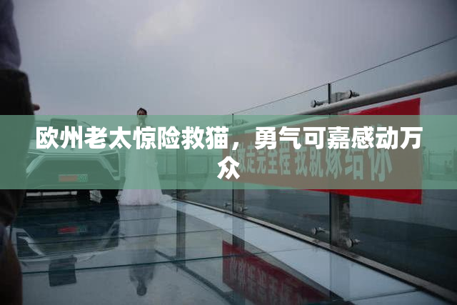 欧州老太惊险救猫，勇气可嘉感动万众