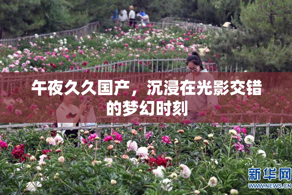 午夜久久国产，沉浸在光影交错的梦幻时刻