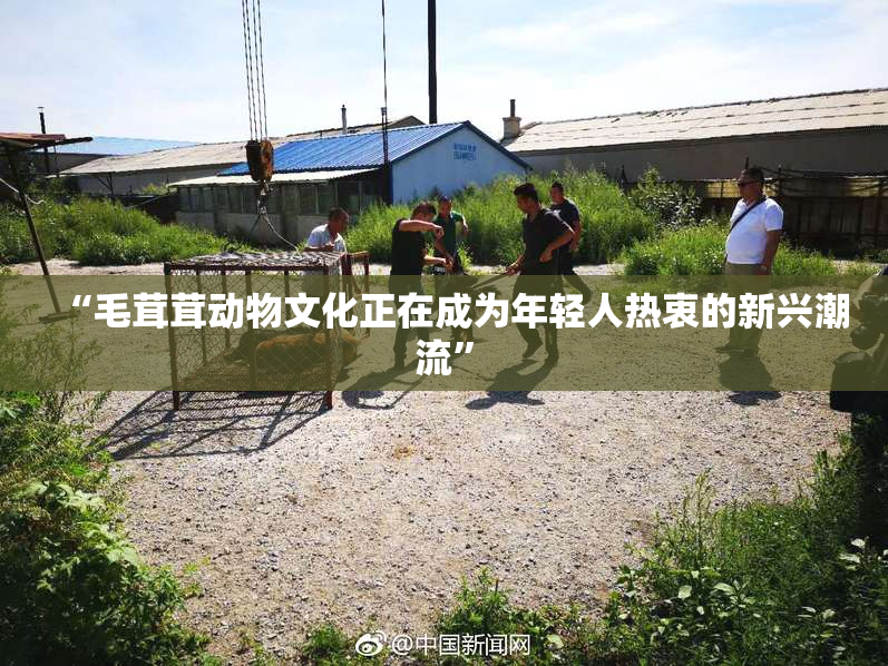 “毛茸茸动物文化正在成为年轻人热衷的新兴潮流”