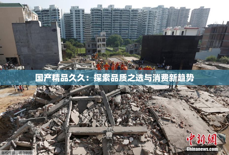 国产精品久久：探索品质之选与消费新趋势
