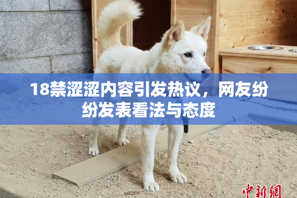 18禁涩涩内容引发热议，网友纷纷发表看法与态度