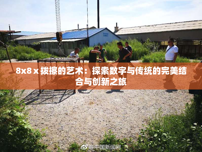 8x8ⅹ拨擦的艺术：探索数字与传统的完美结合与创新之旅