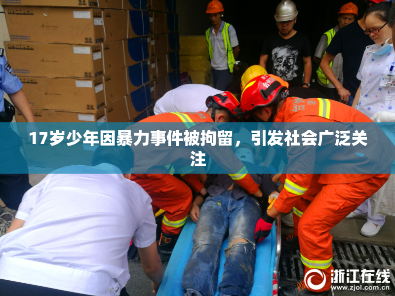 17岁少年因暴力事件被拘留，引发社会广泛关注