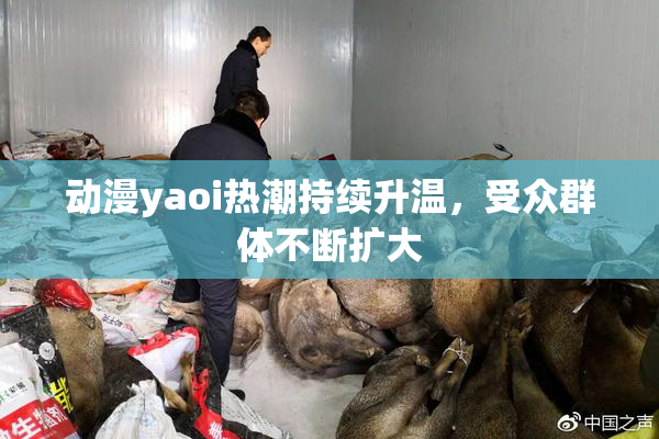 动漫yaoi热潮持续升温，受众群体不断扩大