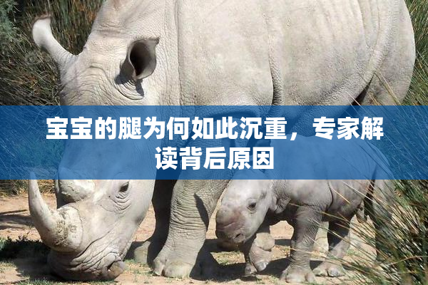 宝宝的腿为何如此沉重，专家解读背后原因