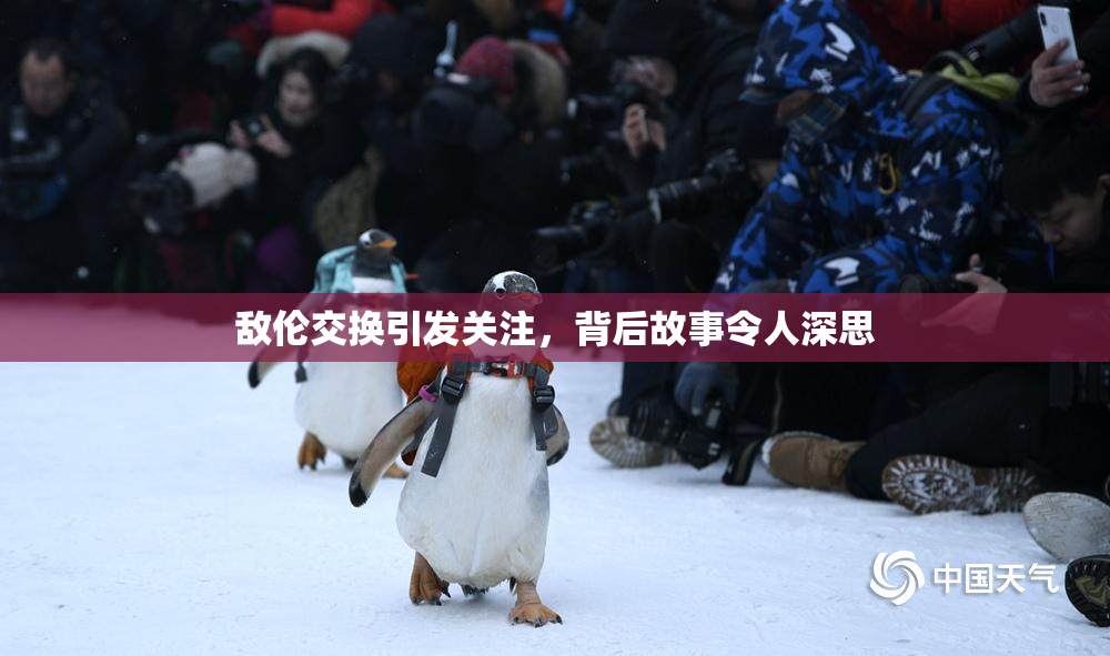 敌伦交换引发关注，背后故事令人深思