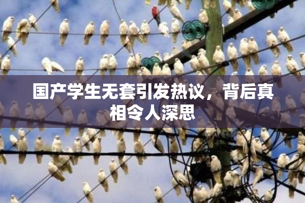 国产学生无套引发热议，背后真相令人深思