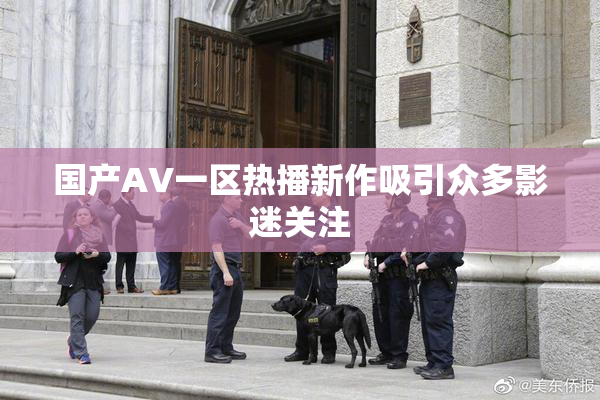 国产AV一区热播新作吸引众多影迷关注