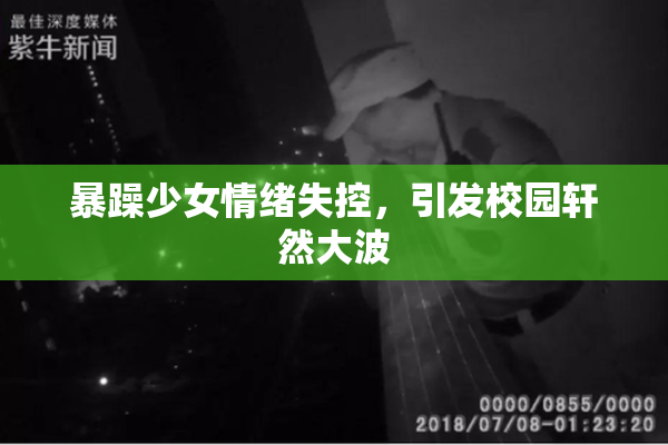 暴躁少女情绪失控，引发校园轩然大波