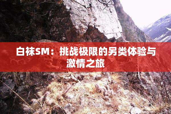 白袜SM：挑战极限的另类体验与激情之旅