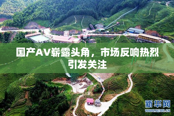 国产AV崭露头角，市场反响热烈引发关注