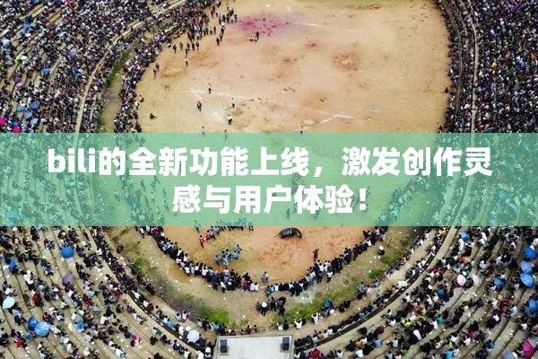 bili的全新功能上线，激发创作灵感与用户体验！