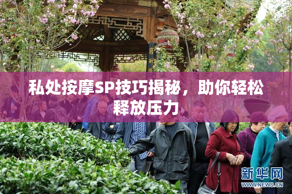 私处按摩SP技巧揭秘，助你轻松释放压力