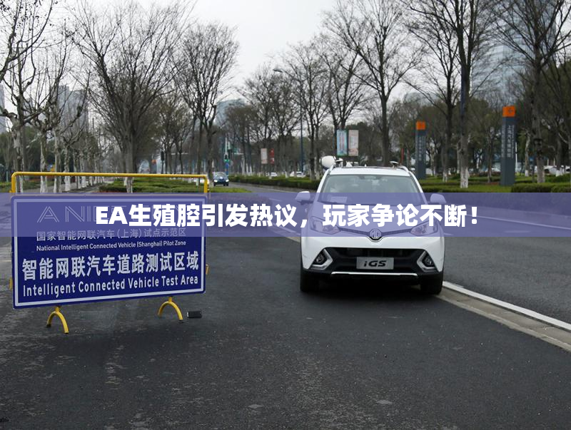 EA生殖腔引发热议，玩家争论不断！