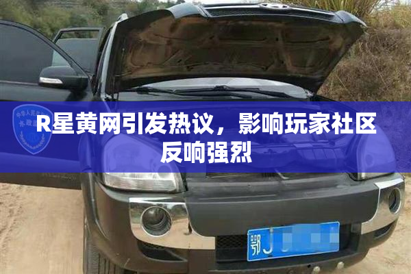 R星黄网引发热议，影响玩家社区反响强烈